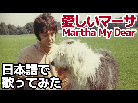【ビートルズ】愛しいマーサ（Martha My Dear）【日本語で歌ってみた】
