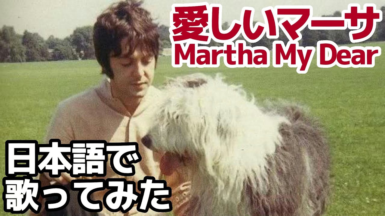 【ビートルズ】愛しいマーサ（Martha My Dear）【日本語で歌ってみた】
