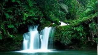 97- سورة القدر - بصوت القارئ/ محمد عبد الكريم - رواية ورش عن نافع