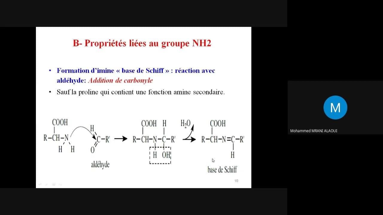 Biochimie (Acides Aminés) : Video 3 - YouTube
