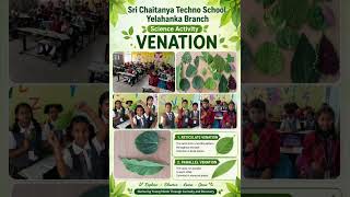 VID 20260627 WA0024 VID 20260627 WA0024