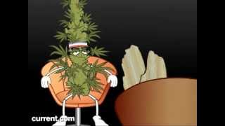 Master Debaters  Pot vs Meth  SuperNews!