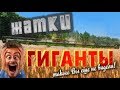 5 самых больших жаток в мире! 18,3 метра!