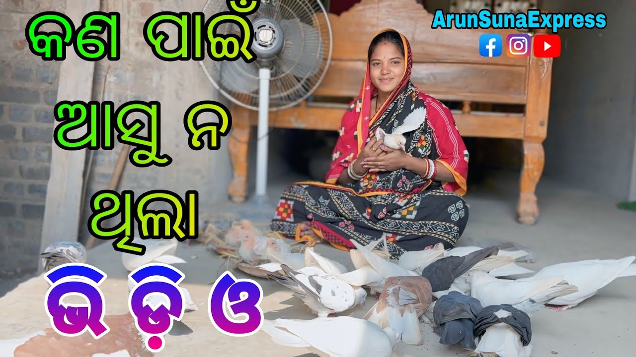 କଣ ପାଇଁ ଆସୁ ନ ଥିଲା ଭି ଡି ଓ/Arun Suna Express
