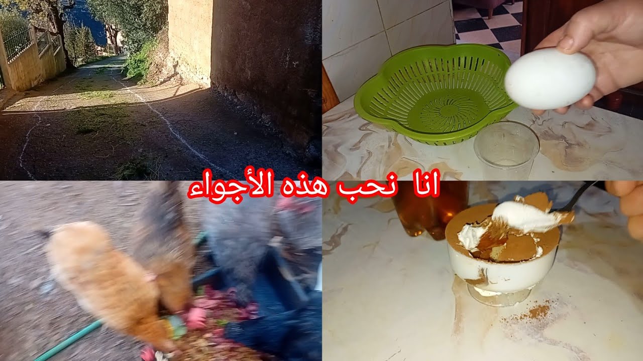 انا نحب نوارلكم الأجواء الربيعية من jardin  والخير  الي نجيبوا  