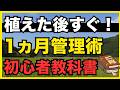 田植え後の油断が命取り?稲を枯らす「透明な敵」と三大リスクの正体