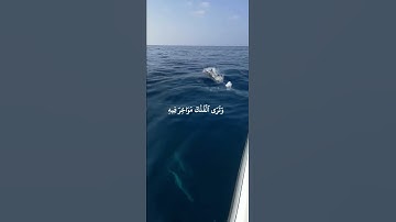 سورة النحل - آية (١٤) - القارئ سعد الغامدي