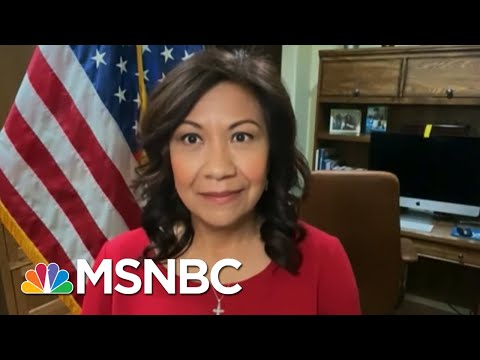 Rep. Norma Torres (D-CA) On HHS Border Facility, Immigration | Ayman Mohyeldin | MSNBC