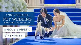 ウェディングのCM。結婚式場のCMで使われている心に残る曲