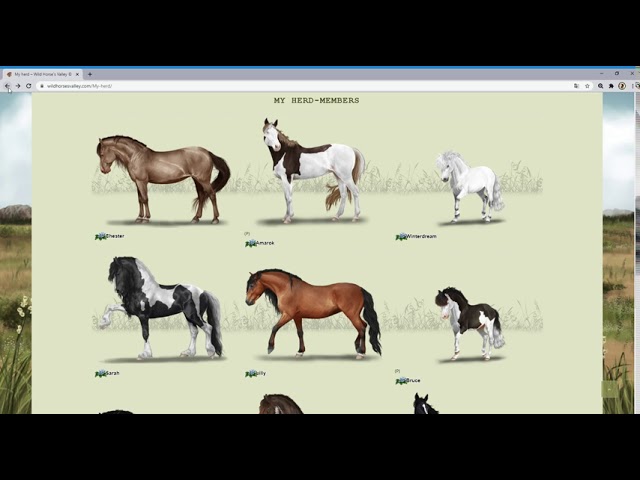 Wild Horse's Valley: The Herd Management Browser Game Leaves Beta and goes  Live — The Mane Quest