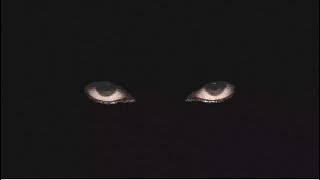 Enter shikari & Wargasm (UK) - The Void Stares back Lyrics Video
