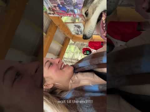 Baby Ariel (@babyariel) archived Instagram Stories compilation from May 19, 2026