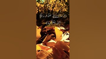 تلاوةخاشعةمن سورة الأنعام الآية٥٩بصوت#سعد_الغامدي #حالات_واتس#مفاتح#الغيب #البر#البحر#رطب#يابس #كتاب