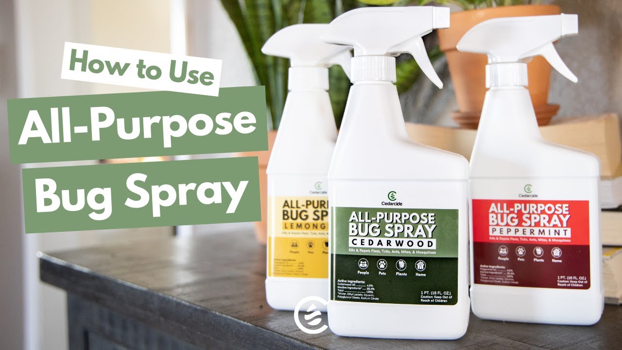 How to Use All-Purpose Bug Spray | For People, Pets, Plants, and Home |  Cedarcide