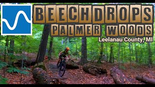 Palmer Woods Trail | Beechdrops Section | Leelaneau, MI