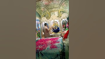 Nidhivan Vrindavan 🌷 Rang Mahal Shayan Aarti Darshan