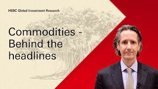 Under the Banyan Tree - Commodities: Behind the headlines screenshot 3
