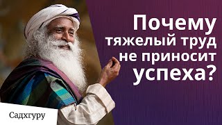 Почему тяжелый труд не приносит успеха?