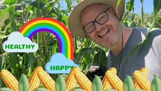 How To Grow Harvest Corn With Jim Gaffigan Happy Healthy Eps 2 Top Tips
