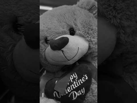 A TEDDY BEARS VALENTINE