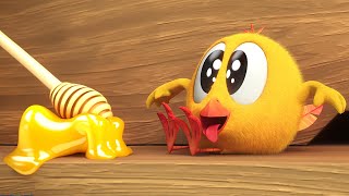 Chicky descobre o mel | Onde está Chicky? | Pintinha amarelinho | Coleção desenhos animados Infantil