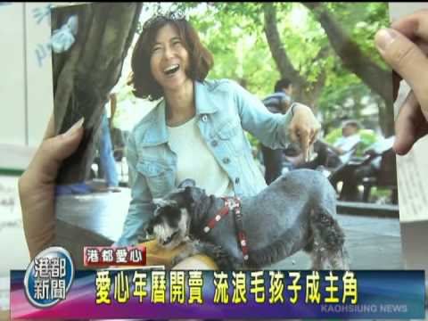TKTV高雄都會台-港都新聞1011102【愛心年曆開賣 流浪毛孩子成主角】