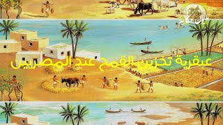 الحضارة المصرية ح9 تخزين القمح