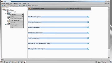 Enterprise Vault: System Status 2