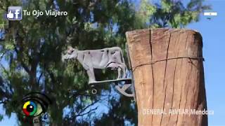 TU OJO VIAJERO EN GENERAL ALVEAR - MENDOZA