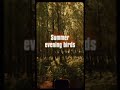 Some songs sound exactly like summer feels #summer