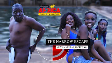 New Amarula Production | The Narrow Escape