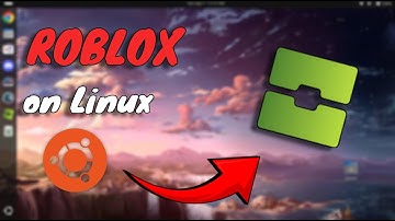 How to install Roblox on Linux in 1 minute (2024)