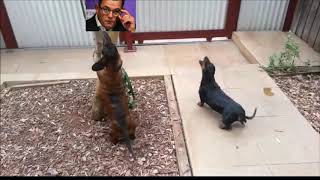 Day 25 Of 42 In Stage 4 Lockdown In Melbourne Victoria