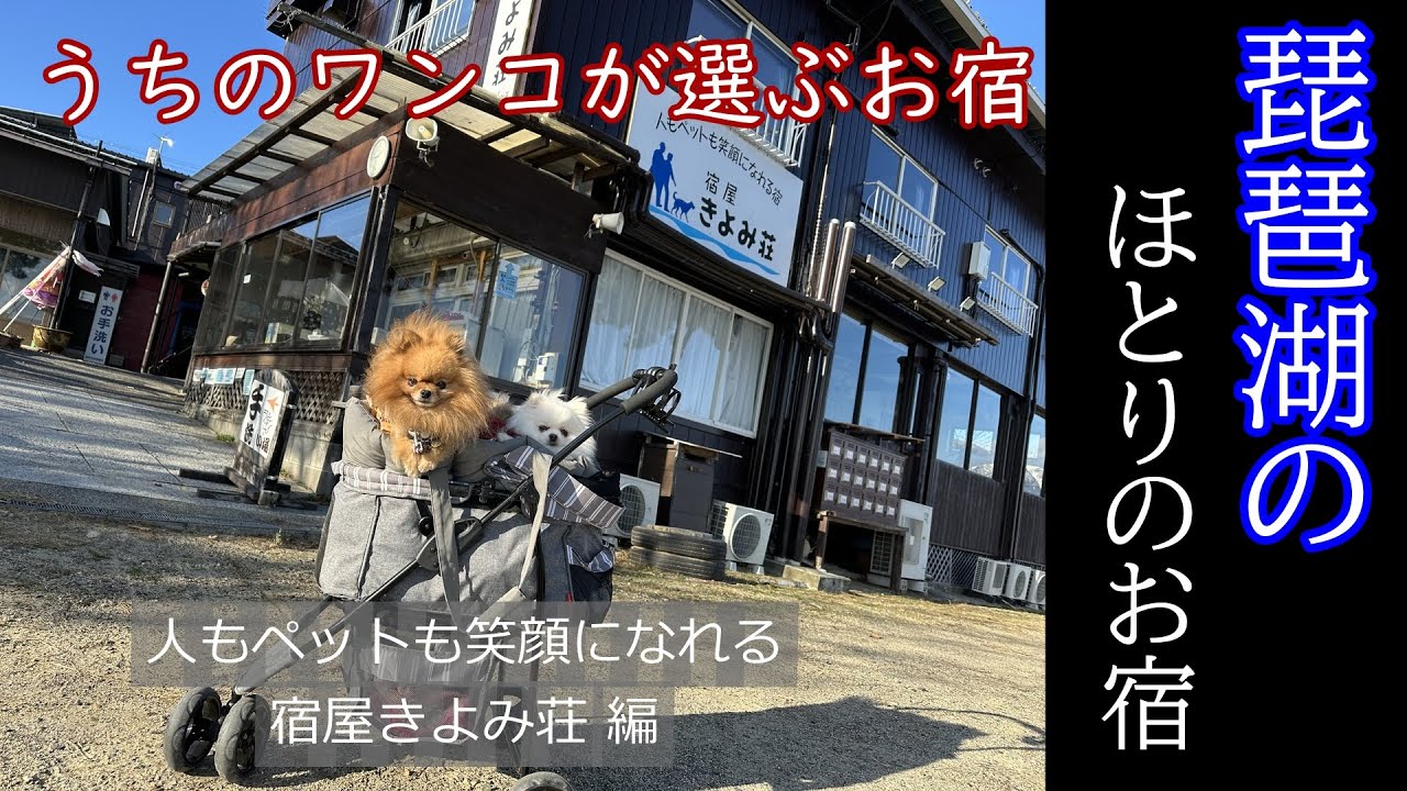 走るモップハウス【バンコン】が行く!!!うちのワンコが選ぶお宿♪琵琶湖のほとりのお宿、人もペットも笑顔になるお宿きよみ荘