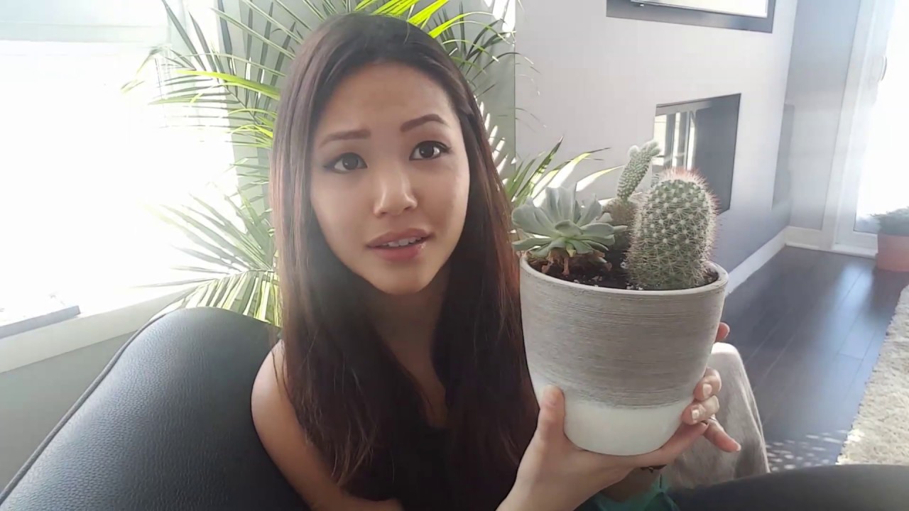 HOW TO TAKE CARE OF YOUR CACTUS (FROM MY EXPERIENCE) 