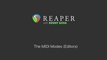 The MIDI Modes (Editors) in REAPER
