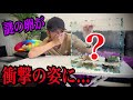 【閲覧注意】森で見つけた"謎のキモい卵"を持ち帰って育てた結果...
