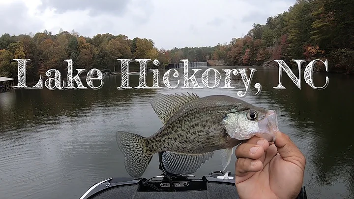 Lake Hickory Crappie Fishing    #crappiefishing  #northcarolina #fishing