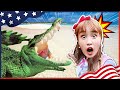 악어가 300마리?! 지니와 악어 보러가요! Gatorland