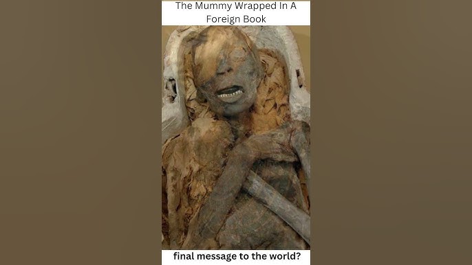 The Mummy Wrapped In A Foreign Book#shortvideo - YouTube