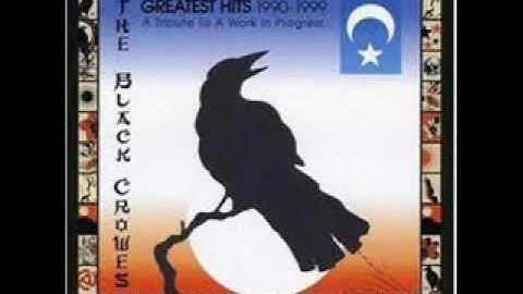 The Black Crowes - She Talks to Angels