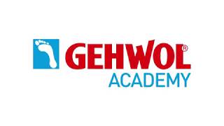 Gehwol Nail Repair Systems