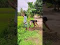 Hidden Water Trap Activated 🤯