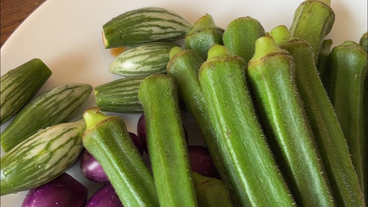 Kain guys☺️🇹🇭🤭🤣