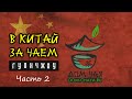 Гуанчжоу. Как хранят чай в Китае и как правильно хранить пуэр и тегуаньинь?