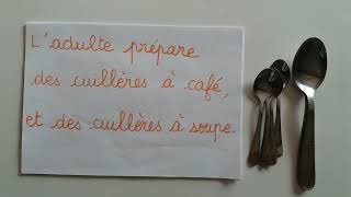 Différence entre une cuillère à soupe et une cuillère à café