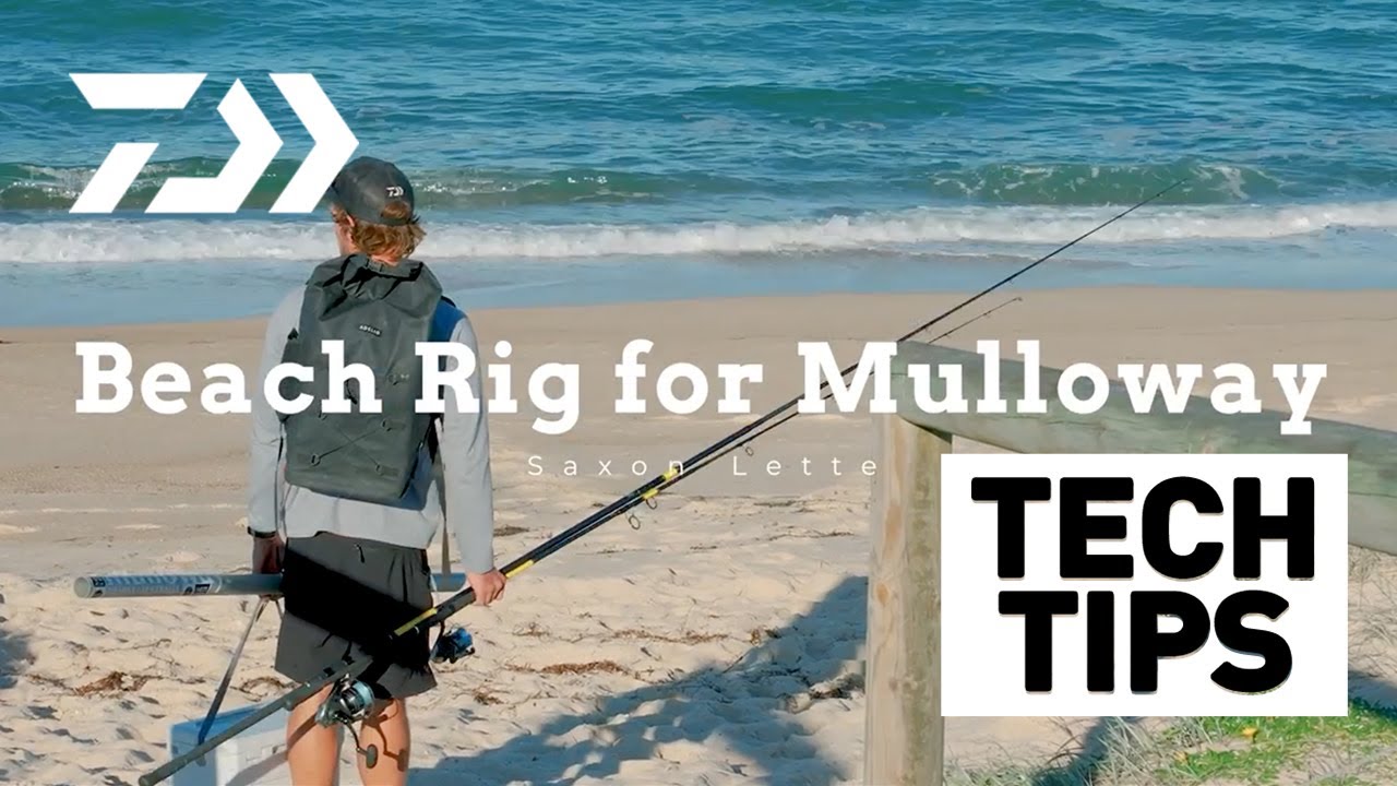 Beach Rigs for Mulloway 