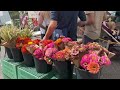 Saturday morning market, St Petersburg Florida