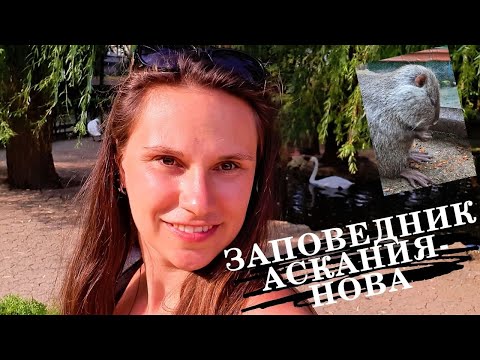 Прогулка по заповеднику Аскания-Нова/ Животные в Аскания-Нова