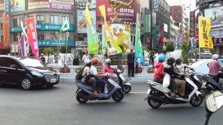 台灣翠青20140705-2